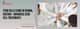 Slider image (3) Stem Cells in Austria